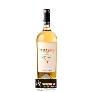 Rượu vang Chile Pura Vida Gran Reserva Chardonnay 15