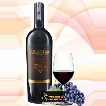 Rượu Vang Chile PURAVIDA PRIVATE SELECTION Cabernet Sauvignon 24