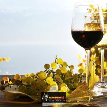 Rượu vang nào uống ngon mua ở Hà Nội