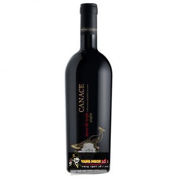 Rượu Vang Ý CANACE NERO DI TROIA