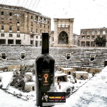 Rượu Vang Ý Chén thánh Nerio Nardo Riserva Rosso Schola Sarmenti