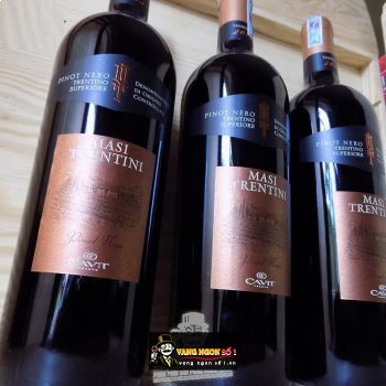 Rượu vang Ý I Masi Trentini Pinot Nero Thượng hạng bn1