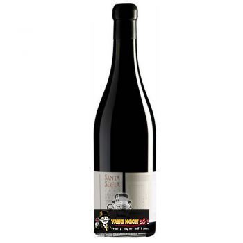 Rượu Vang Ý Santa Sofia Amarone Della Valpolicella Palladio uống ngon