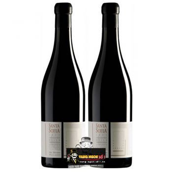 Rượu Vang Ý Santa Sofia Amarone Della Valpolicella Palladio uống ngon bn1