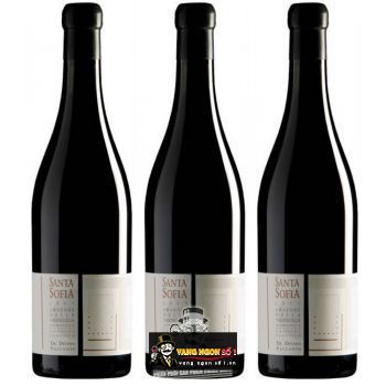 Vang Ý Santa Sofia Amarone della Valpolicella Palladio bn2