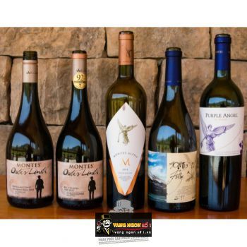 Top 5 chai rượu vang Chile cao cấp bán chạy nhất