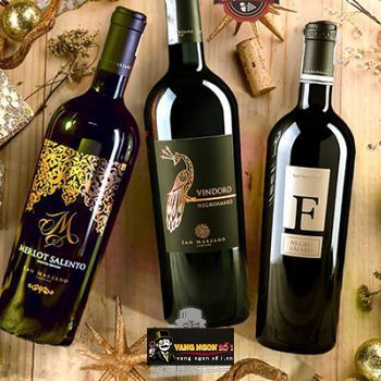 Top 5 chai rượu vang Ý cao cấp bán chạy nhất