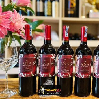 Vang Chile Ana La Propuesta Reserve Cabernet Sauvignon Central Valley bn2