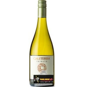 Vang Chile CALITERRA Tributo Sauvignon Blanc