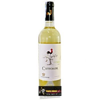 Vang Chile Cantoalba Sauvignon Blanc
