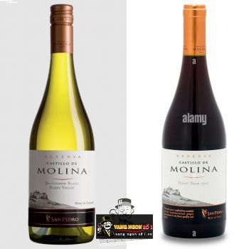 Vang Chile Castillo de Molina San Pedro Reserva Đỏ - Trắng