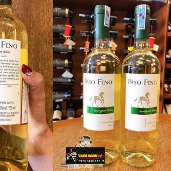 Vang Chile Paso Fino Central Valley Đỏ - Trắng bn2