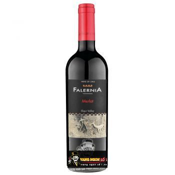 Vang Chile Falernia Merlot Reserva