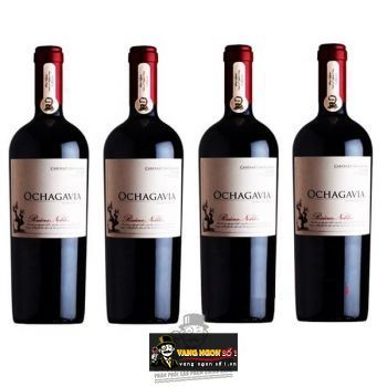 Vang Chile OCHAGAVIA Raice Noble