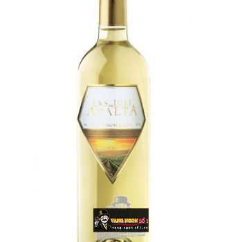 Vang Chile San Jose De Apalta Trandition Sauvignon Blanc bn1