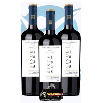 Vang Chile Since 1825 Cabernet Sauvignon