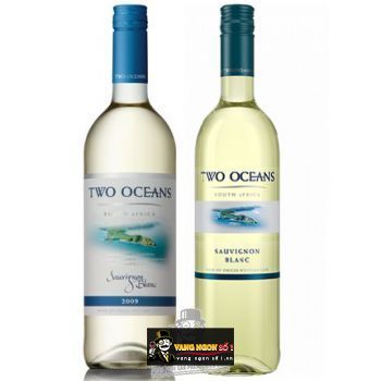 Vang Nam Phi Two Oceans Sauvignon Blanc - Chardonnay