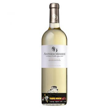 Vang Pháp Antoine Moueix Bordeaux Blanc uống ngon
