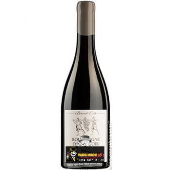 Vang Pháp Bourgogne Pinot Noir Benoit Ente thượng hạng