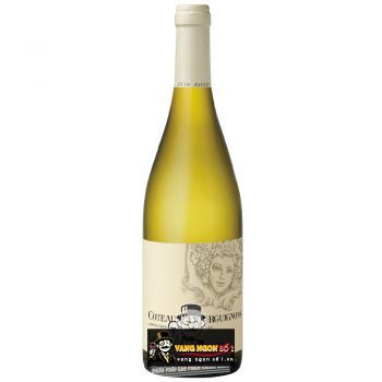 Vang Pháp Coteaux Bourguignon Louis Jadot uống ngon