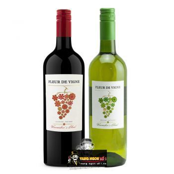 Vang Pháp Fleur de Vigne Barton & Guestier uống ngon