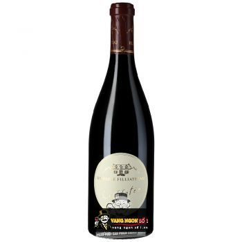 Vang Pháp L Affutee Domaine Filliatreau Saumur Champigny cao cấp