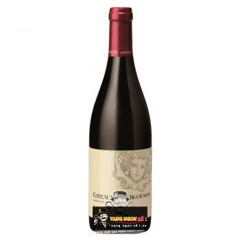 Vang Pháp Louis Jadot Coteaux Bourguignon uống ngon