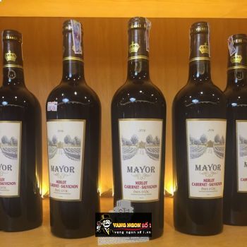 Vang Pháp Mayor Merlot Cabernet Sauvignon 2016 bn2