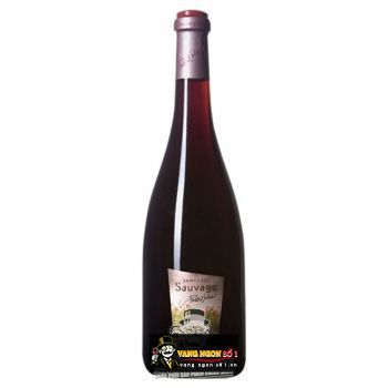 Vang Pháp Pascal Jolivet Sauvage Sancerre uống ngon