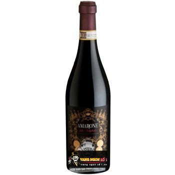 Vang Ý Amarone Della Valpolicella Borsari
