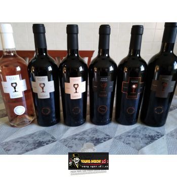 Vang Ý Chén thánh ANTIERI SUSUMANIELLO SALENTO SCHOLA SARMENTI bn1