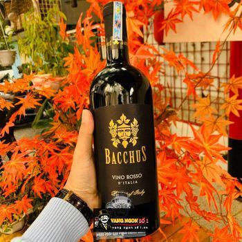 Vang Ý Bacchus Vino Rosso IGP uống ngon