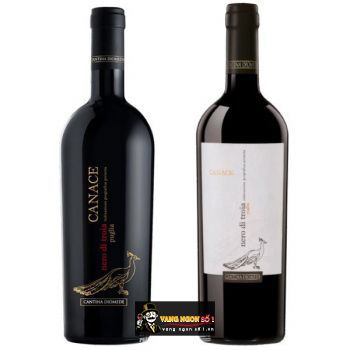 Vang Ý CANACE NERO DI TROIA