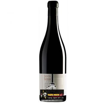 Vang Ý Santa Sofia Amarone della Valpolicella Palladio