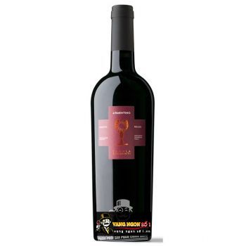 Vang Ý Schola Sarmenti Armentino Rosso Salento