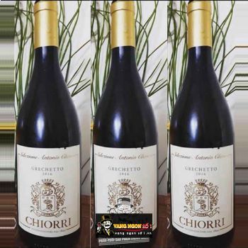 Vang Ý Selezione Antonio Chiorri Merlot Umbria