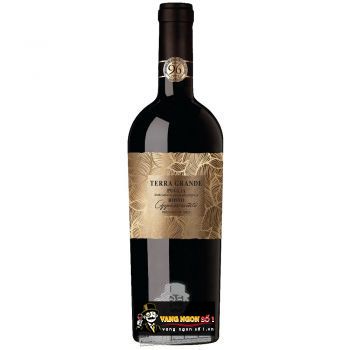 VANG Ý TERRA GRANDE PUGLIA ROSSO APPASSIMENTO